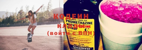 шишки Надым