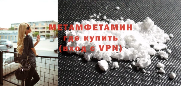 шишки Надым