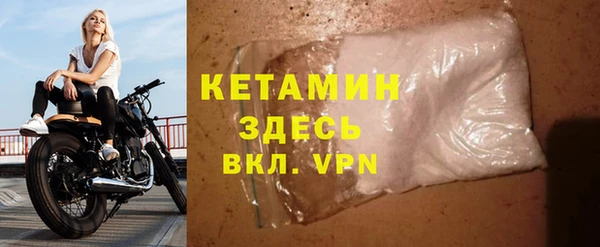 шишки Надым