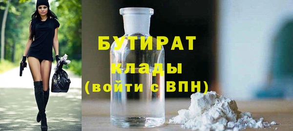 шишки Надым