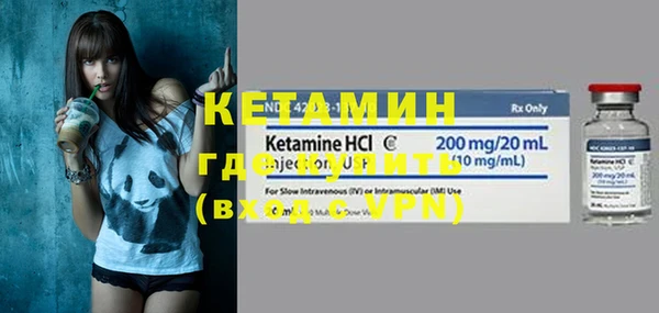 шишки Надым