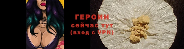 шишки Надым