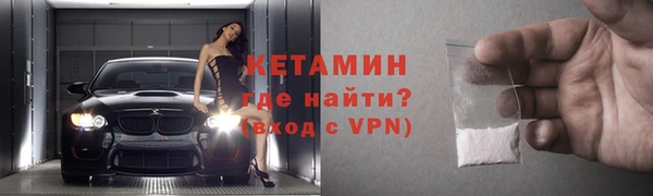 шишки Надым