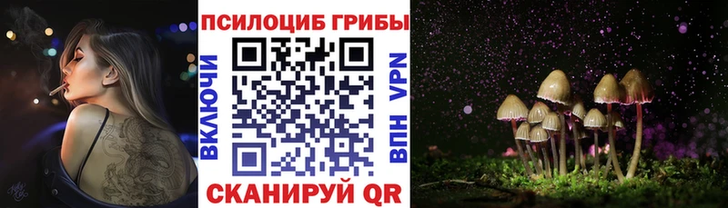 купить закладку  Беслан  ОМГ ОМГ ссылка  Галлюциногенные грибы Cubensis 