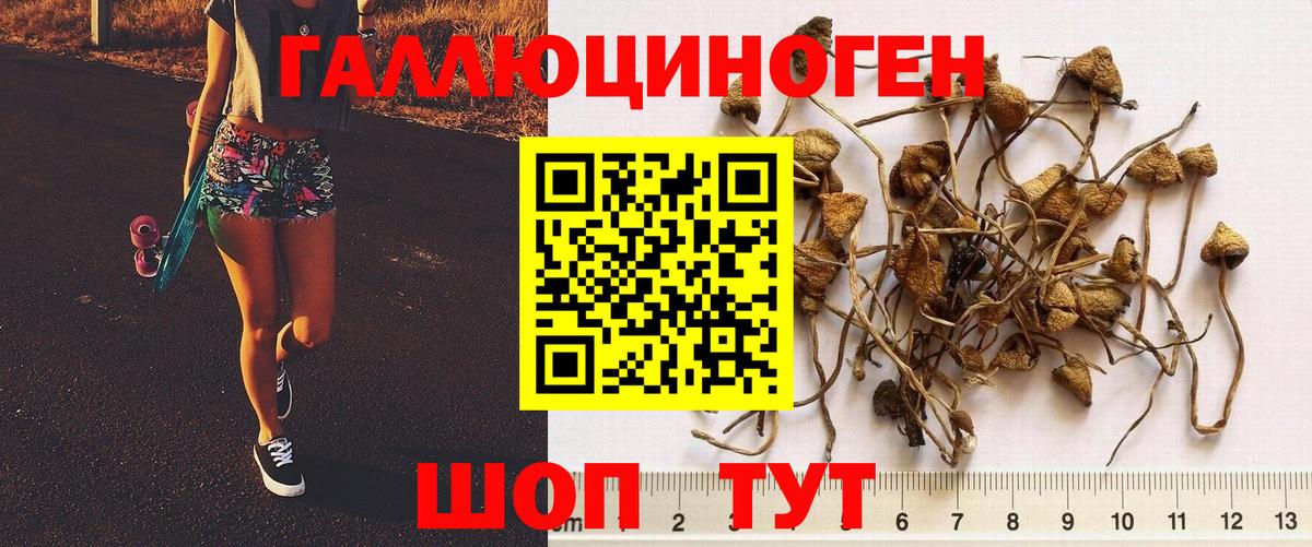 Беслан  Псилоцибиновые грибы прущие грибы  Вход с VPN 