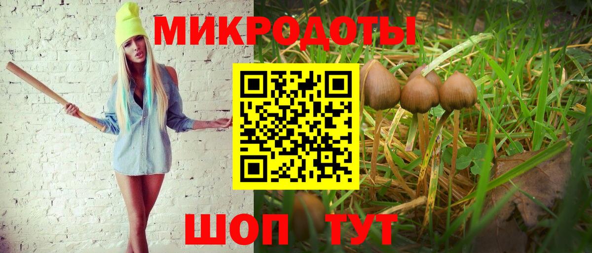 Галлюциногенные грибы Magic Shrooms  Беслан 
