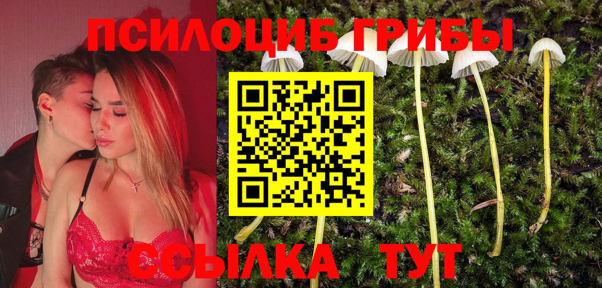 Галлюциногенные грибы прущие грибы Беслан