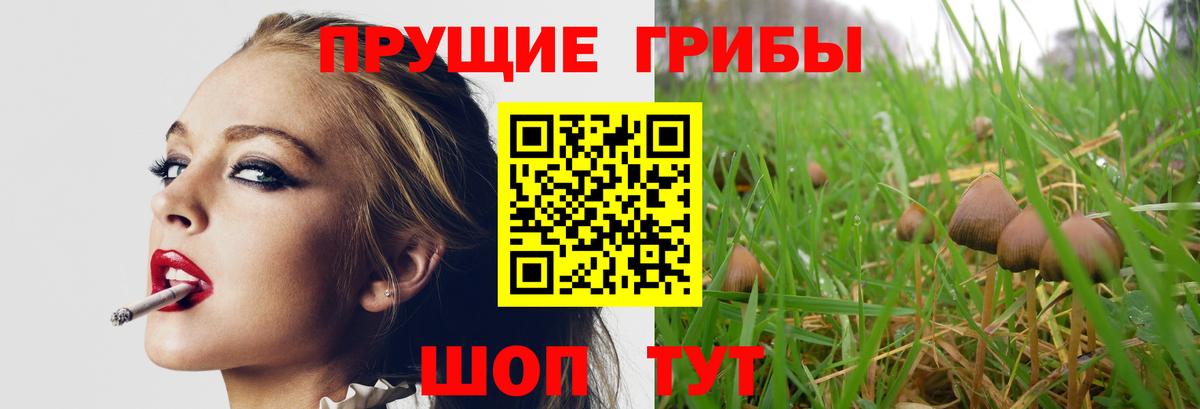Псилоцибиновые грибы прущие грибы Беслан